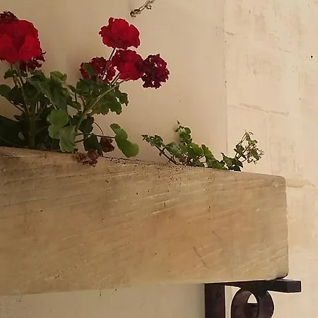 Holiday Lodging - 3 Bedroom -